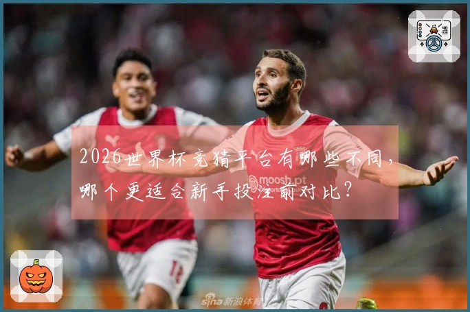 2026世界杯竞猜平台有哪些不同，哪个更适合新手投注前对比？