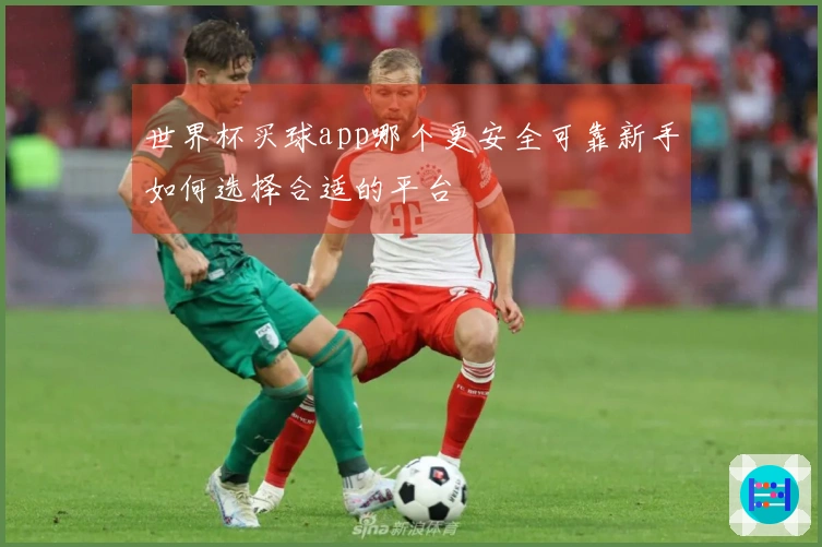 世界杯买球app哪个更安全可靠新手如何选择合适的平台
